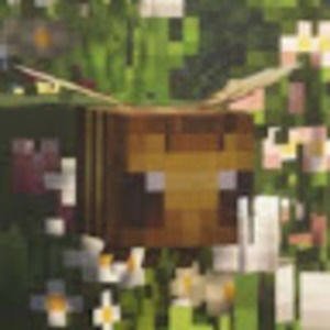 Meet your Posher, Bee